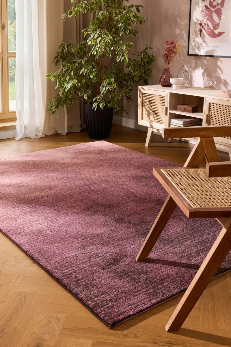 Dywan Ragolle Argentum 63029 3294 - zdjecie dywanu w aranzacji lifestyle 1